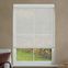 Classic Light Filtering Fabric Roller Shades 9532 Thumbnail