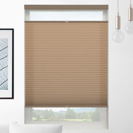Value Light Filtering Cordless Top Down Bottom Up Honeycomb Shades