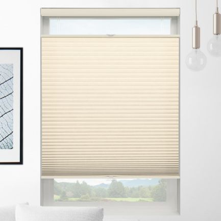 Value Light Filtering Cordless Top Down Bottom Up Honeycomb Shades