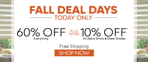 60% off everything plus extra 10% off zebra blinds and sheer shades